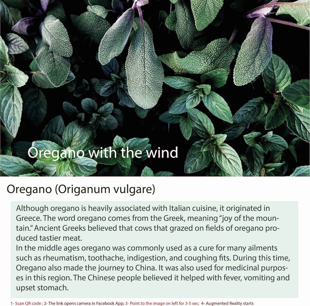 Aromatherapy Perfume with Oregano Oil