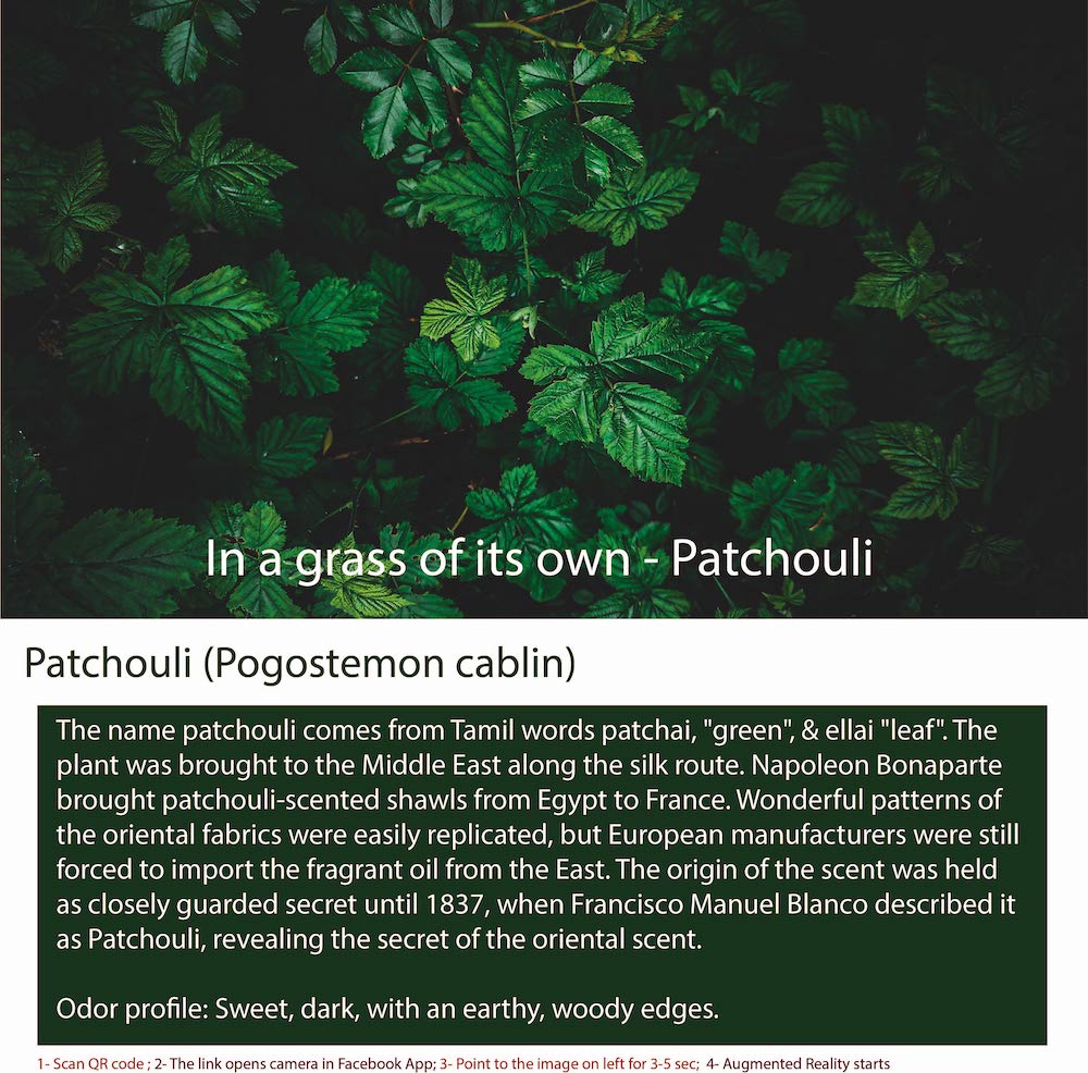 Patchouli Fragrance with Natural Notes