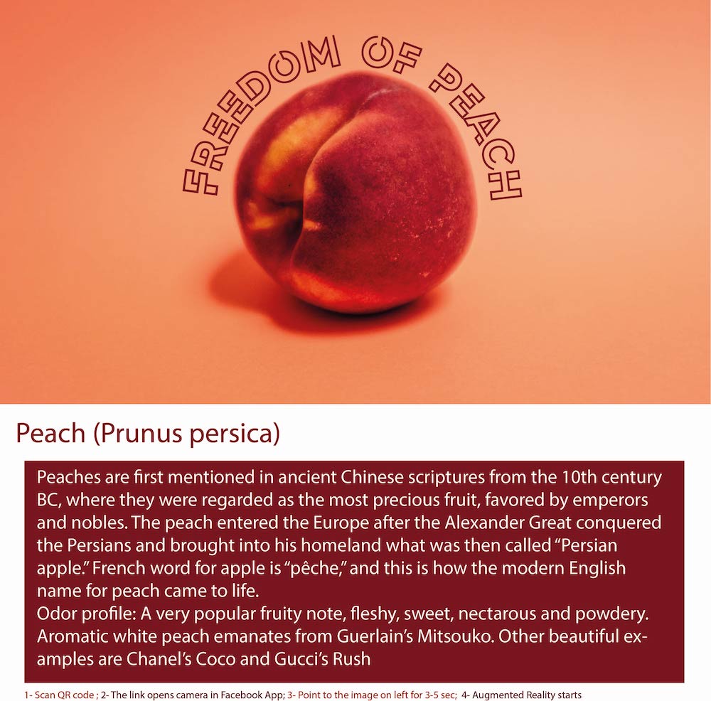 A peach is a species of fruit tree in the rose family, native to China