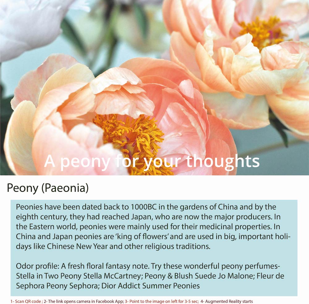 A peony is a type of flowering plant in the genus Paeonia, which includes both herbaceous plants 