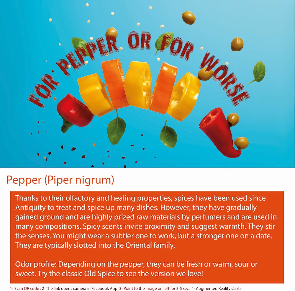 Pepper is a common spice made from the dried, ground berries of the Piper nigrum plant.