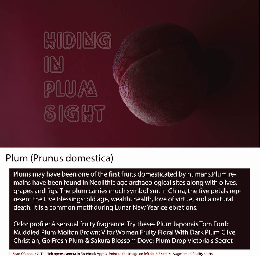 A plum is a type of small, round fruit that belongs to the Prunus genus of plants,