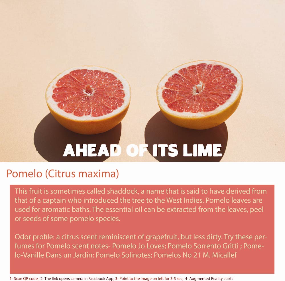 Pomelo, also known as pummelo, shaddock, or Chinese grapefruit, is a large citrus fruit that is closely related to the grapefruit. 