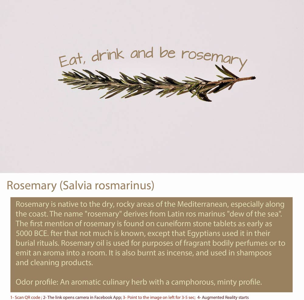 Rosemary is an herb commonly used in cooking, originating from the Mediterranean region.