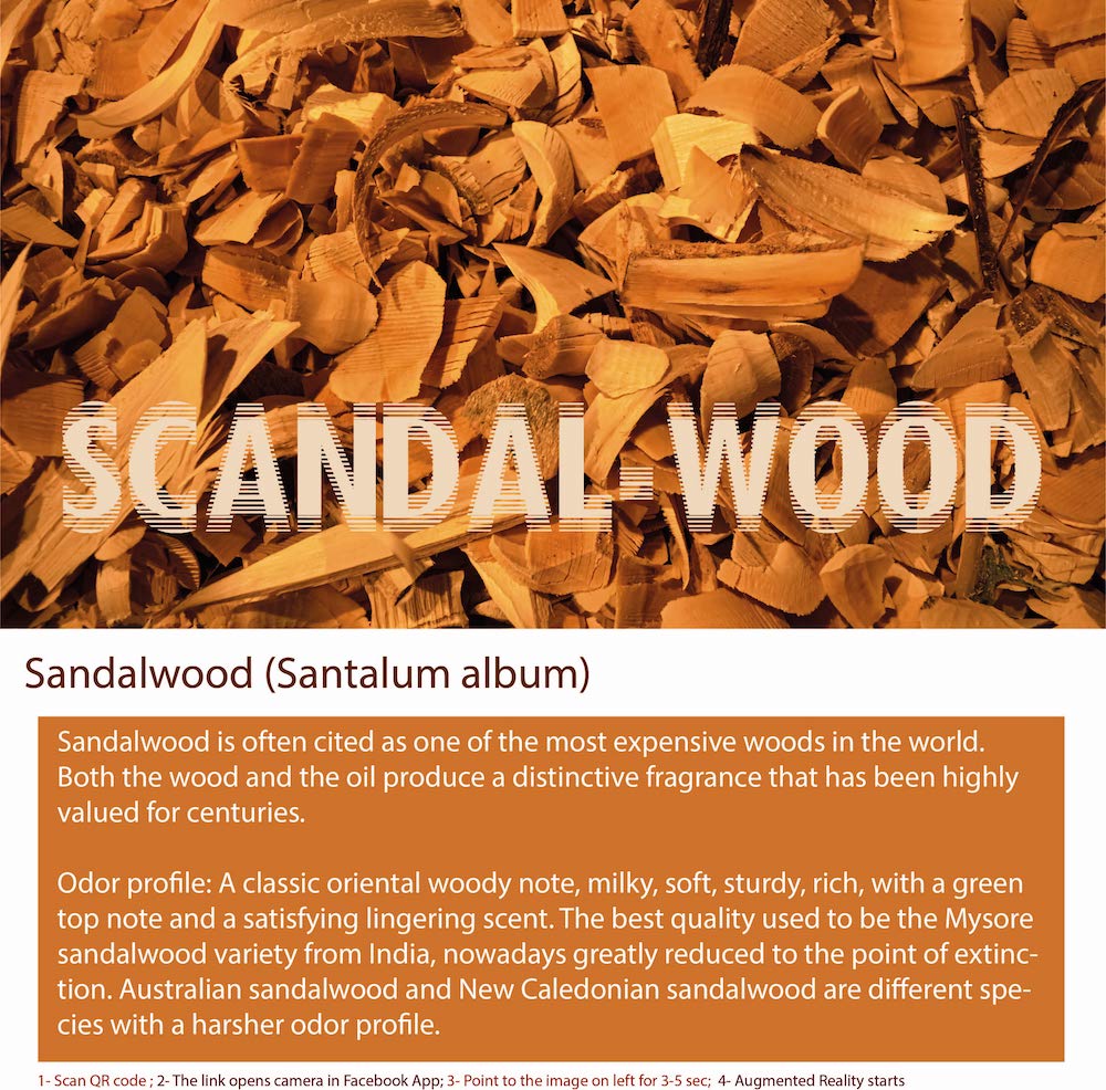 Sandalwood is a tropical tree species native to India and Indonesia,