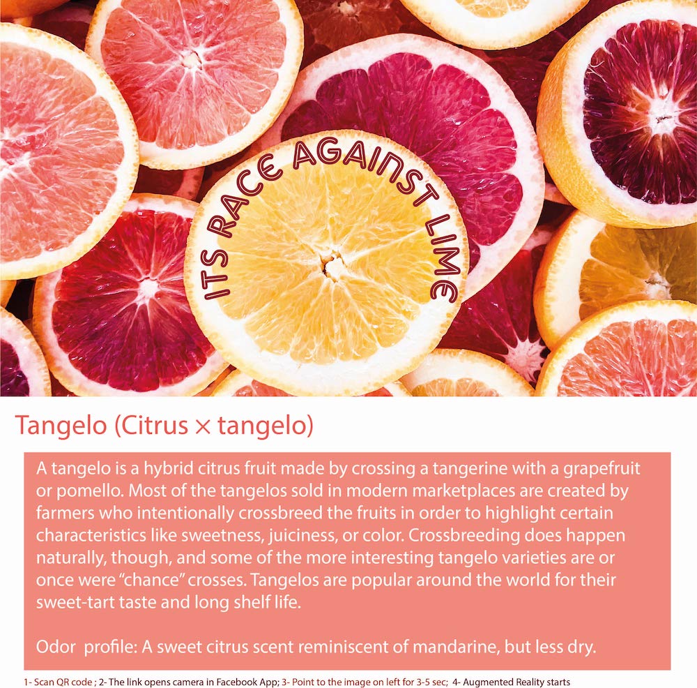 A tangelo is a citrus fruit that is a hybrid between a tangerine and a pomelo or grapefruit.