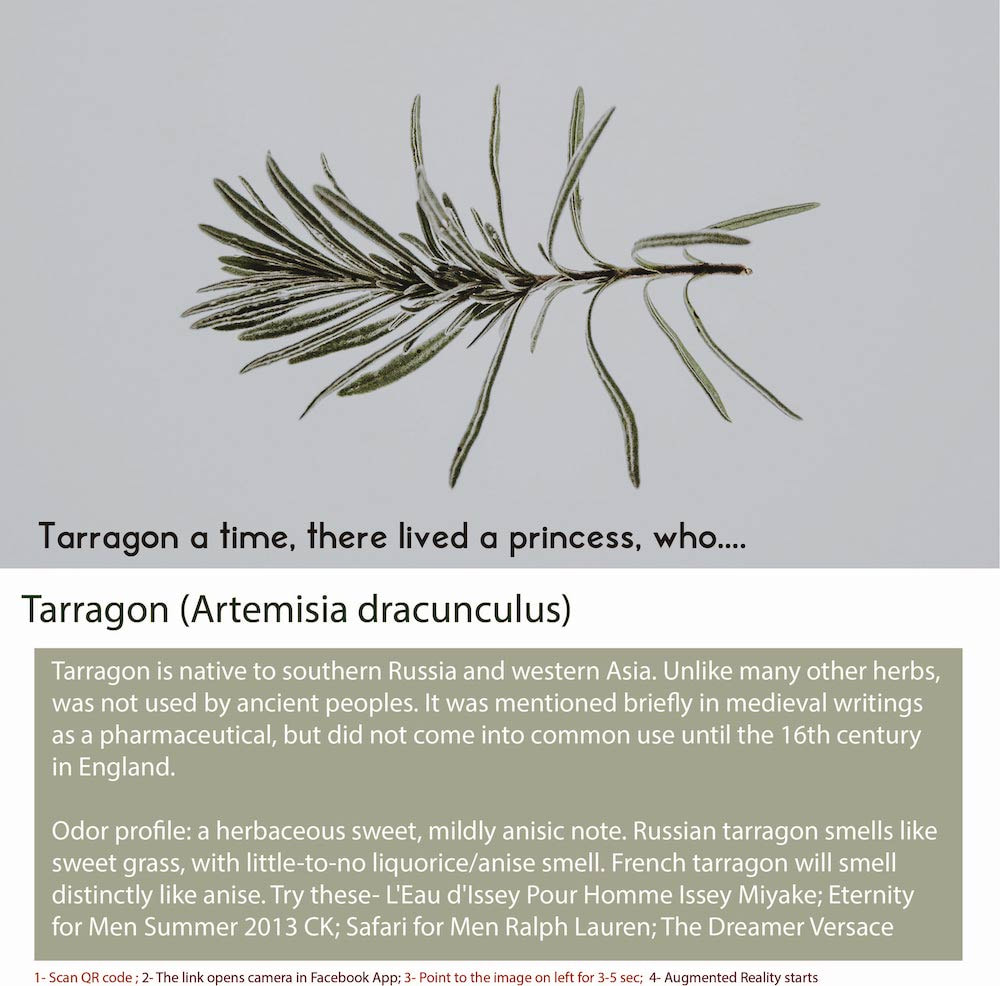 Tarragon Fragrance Bottle - Oriental Herbal Men Scent