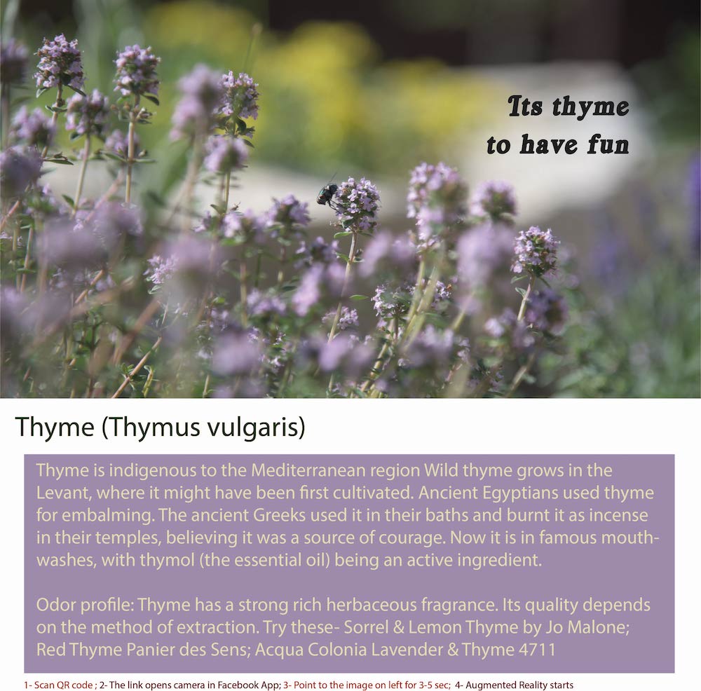 Thyme Fragrance Bottle Front View