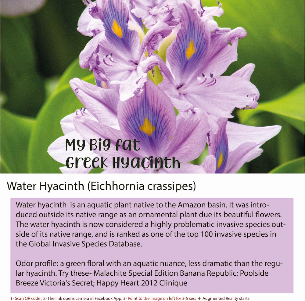 Water Hyacinth Perfume Bottle