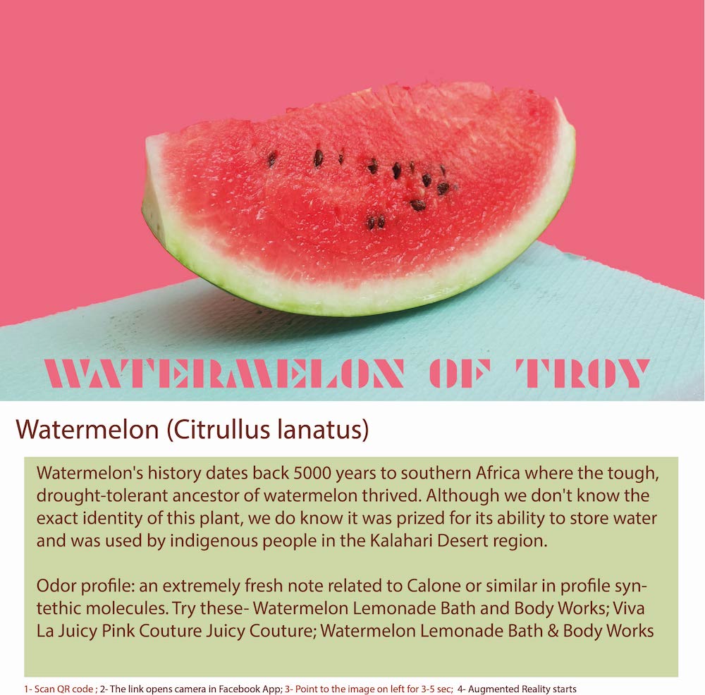 Watermelon is a juicy and sweet fruit that belongs to the Cucurbitaceae family.