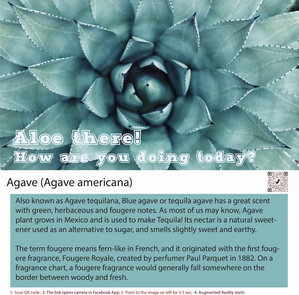 Fresh Agave Perfume for Men and Women