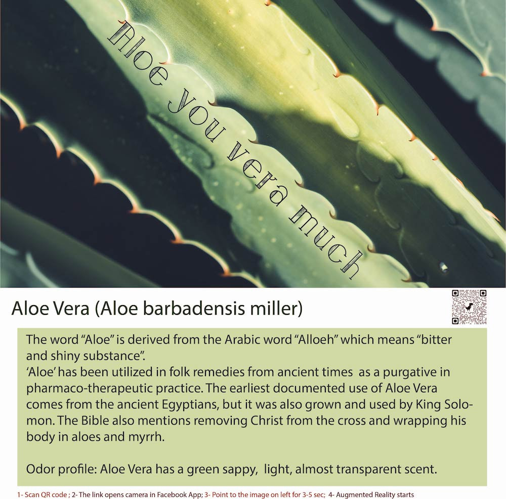 Vegan Aloe Vera Scent Bottle
