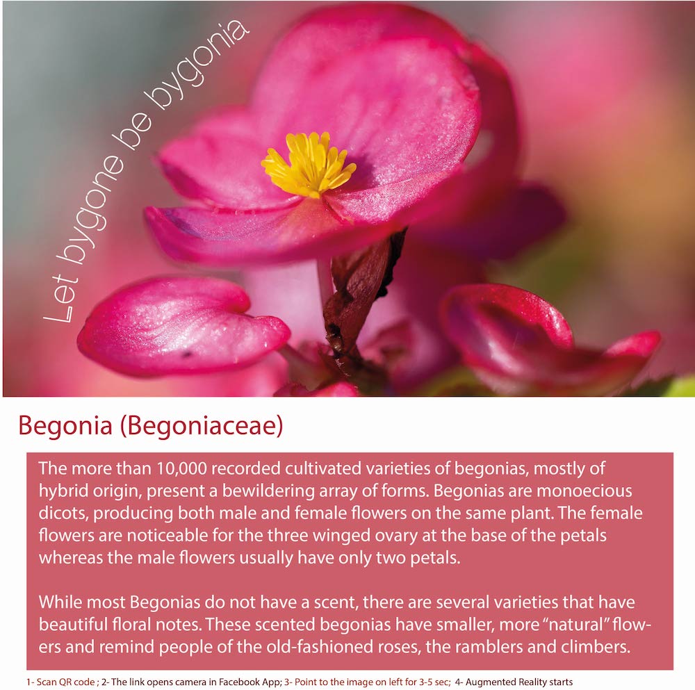 Begonia Fragrance Bottle
