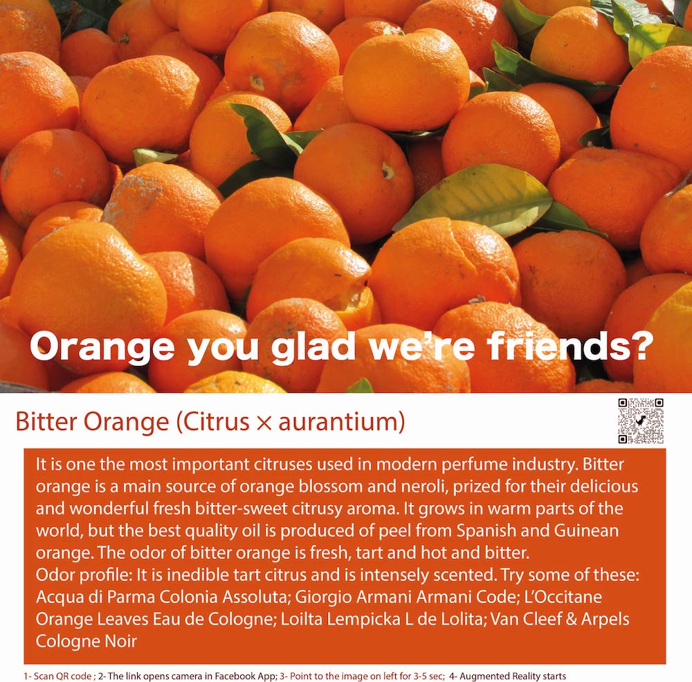 Citrus Top Note Scent Bitter Orange Perfume Bottle
