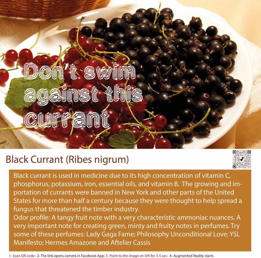Black Currant Perfume Bottle