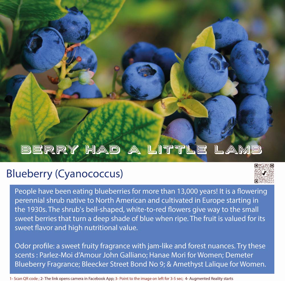 Feminine Blueberry Fragrance