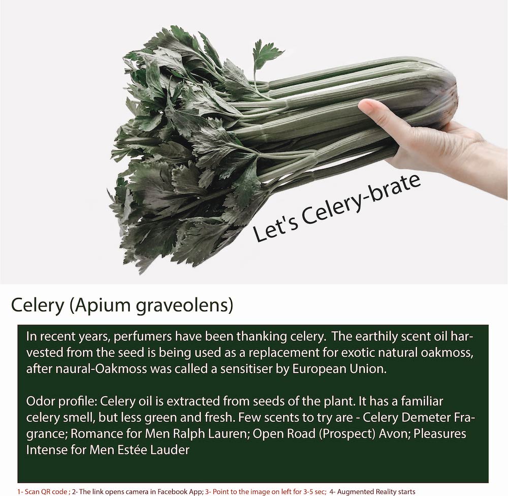 Celery is a vegetable that belongs to the Apiaceae family