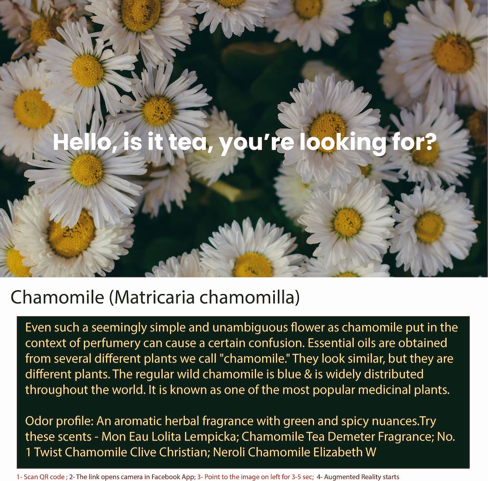 Chamomile is a plant from the daisy family