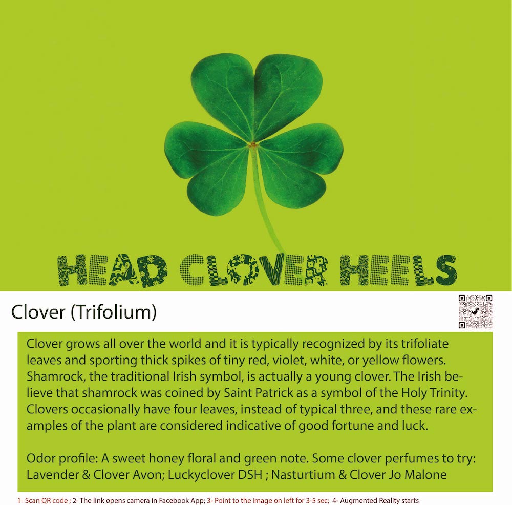 Clover is a type of plant that typically has leaves with three leaflets