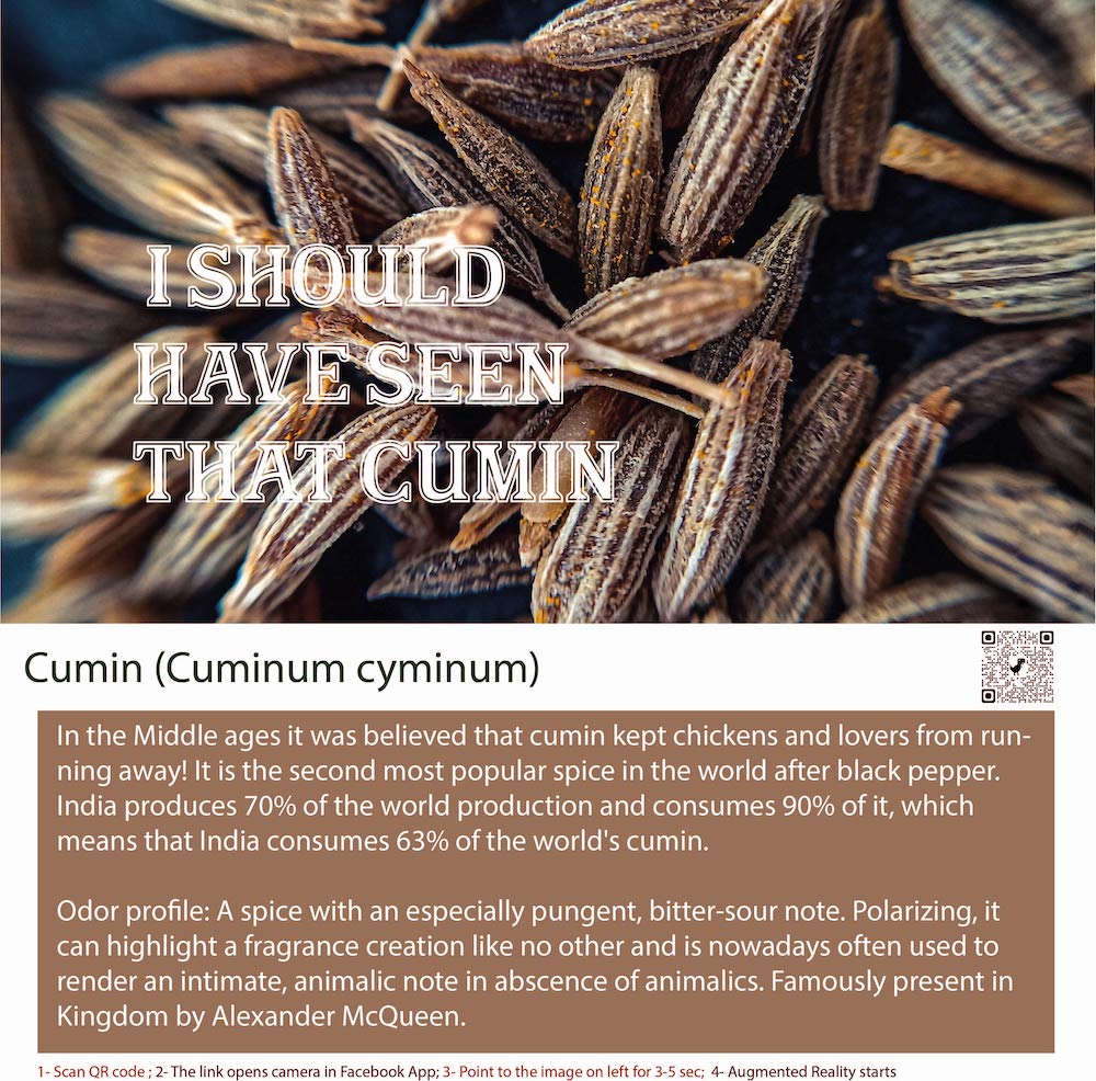 Cumin is a spice that is commonly used in cooking and is derived from the seeds of the Cuminum cyminum