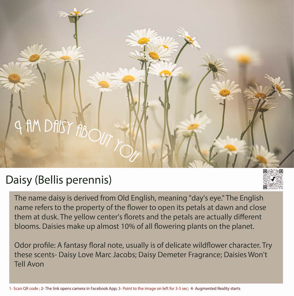 Daisy is a name of English origin