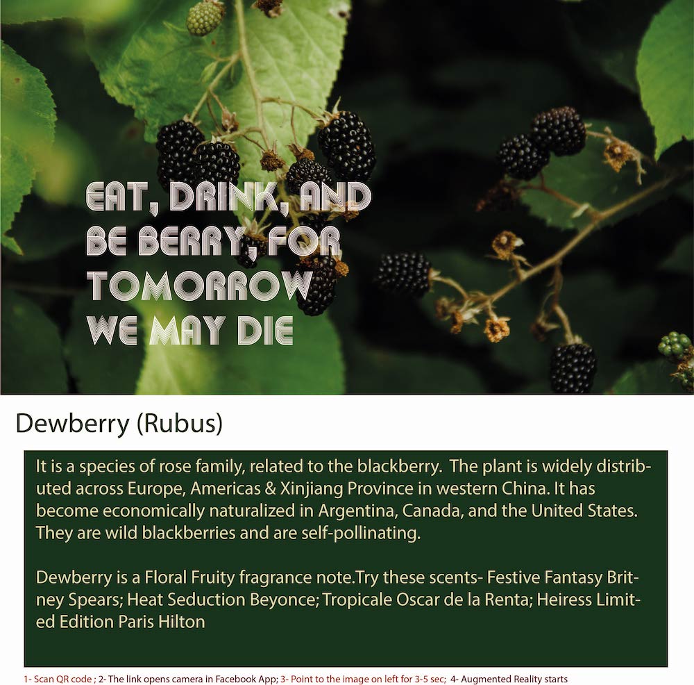 Dewberry is a genus of plants in the Rubus family