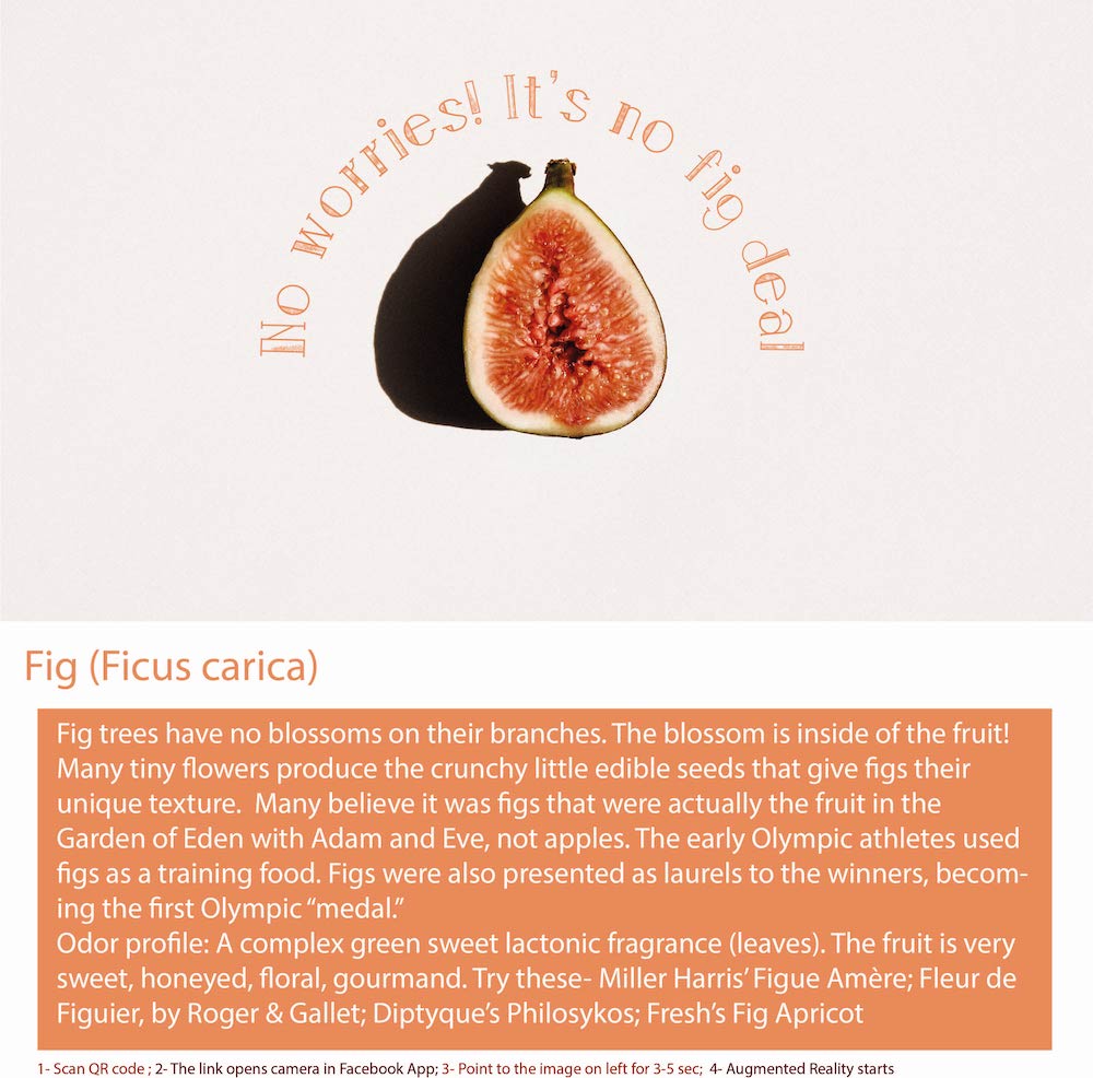 A fig plant, also known as Ficus carica