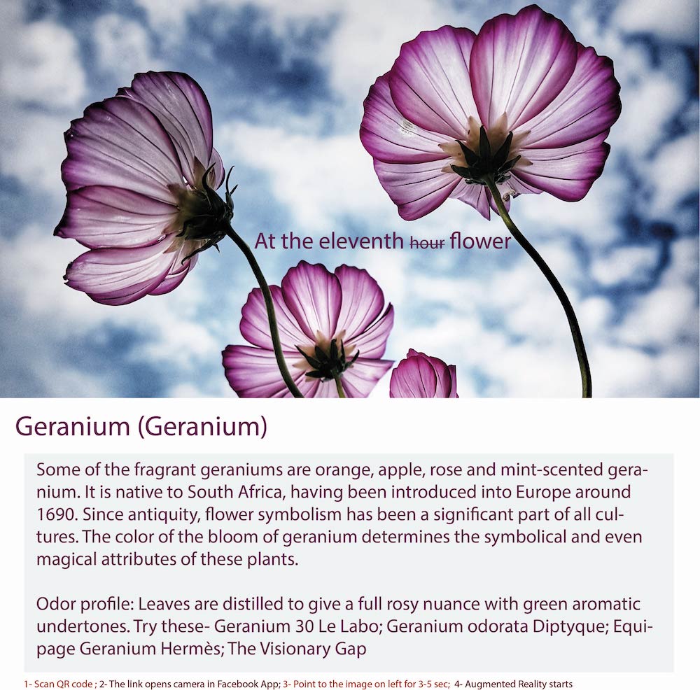 Geranium Floral Fragrance