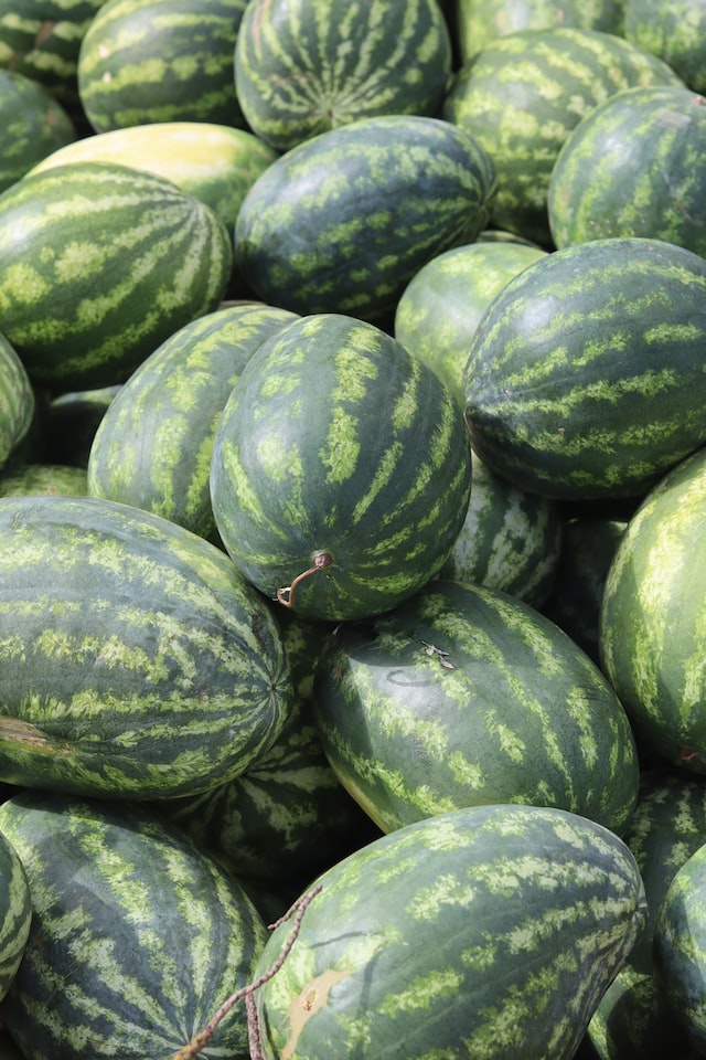 The scent of watermelon can vary depending on the variety 